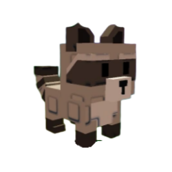 Raccoon